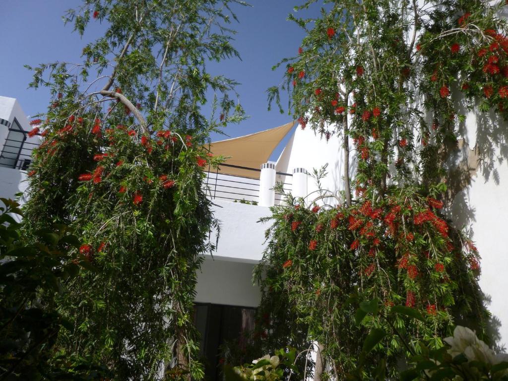 Riad Tchina Marrakesch Exterior foto